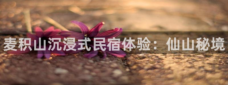 球盟会在线官网