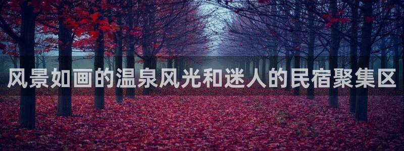 球盟会官网app下载