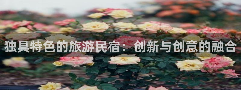 球盟会登录网址