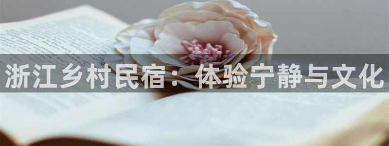 球盟会连接
