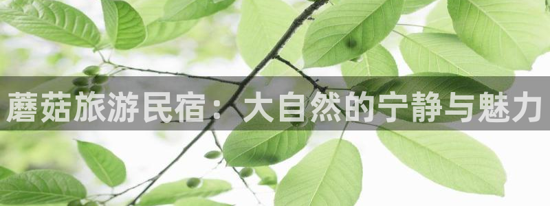 球盟会登陆中心