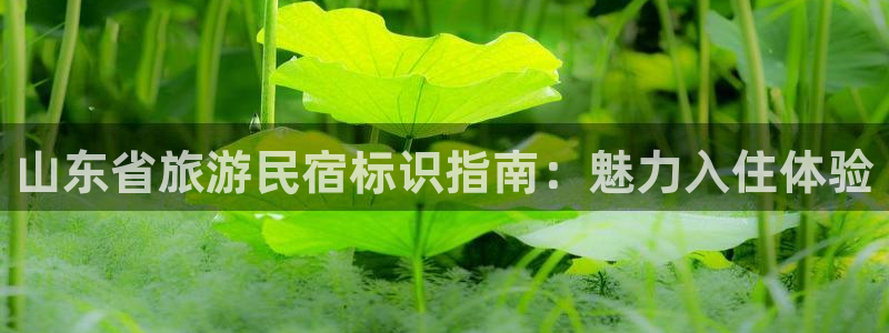 球盟会qmh网页版登录