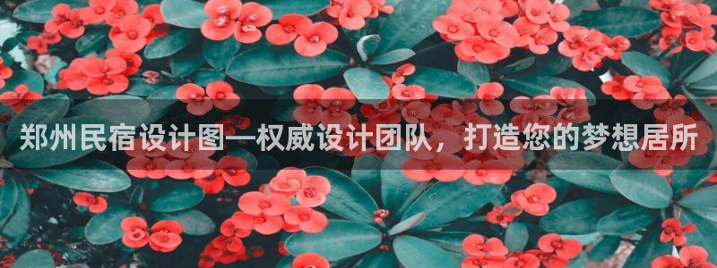 球盟会APP官网