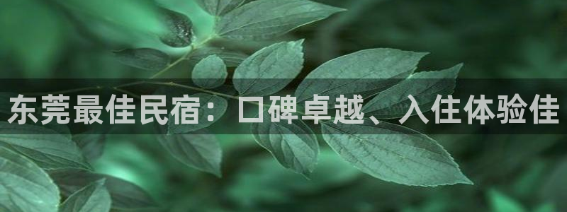 球盟会登陆中心
