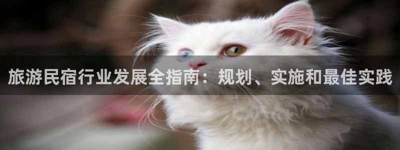 球盟会APP最新地址|旅游民宿行业发展全指南：规划、实施和最佳实践
